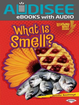 cover image of What Is Smell?